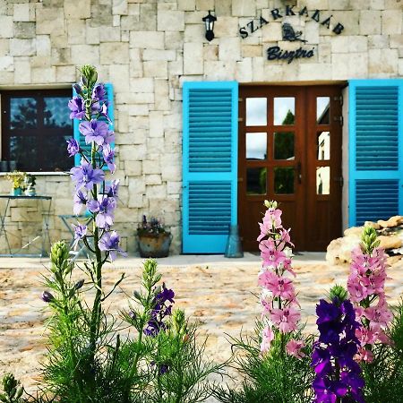Szarka Vendeghaz Es Pince Apartment Mád Екстериор снимка